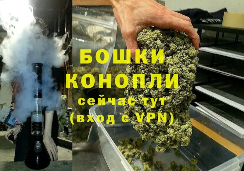 мориарти Telegram  купить закладку  Собинка  Бошки марихуана THC 21% 